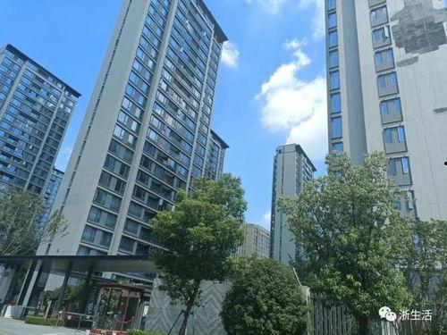 宁波东悦府最新爆料,揭秘高端住宅区的未来生活蓝图